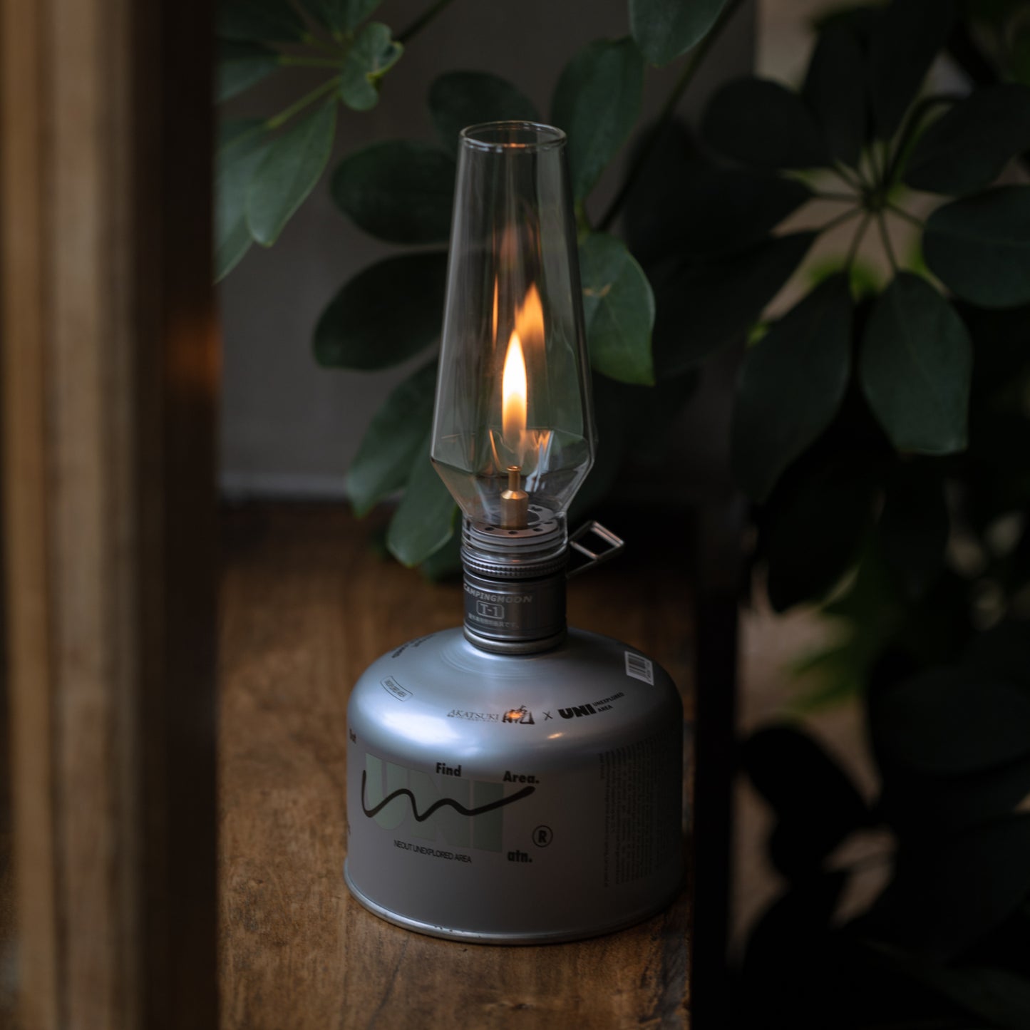 wildcamping - camping with a fire - camping lamp with gas canister - wooden table and green plants - calming atmospheric scene