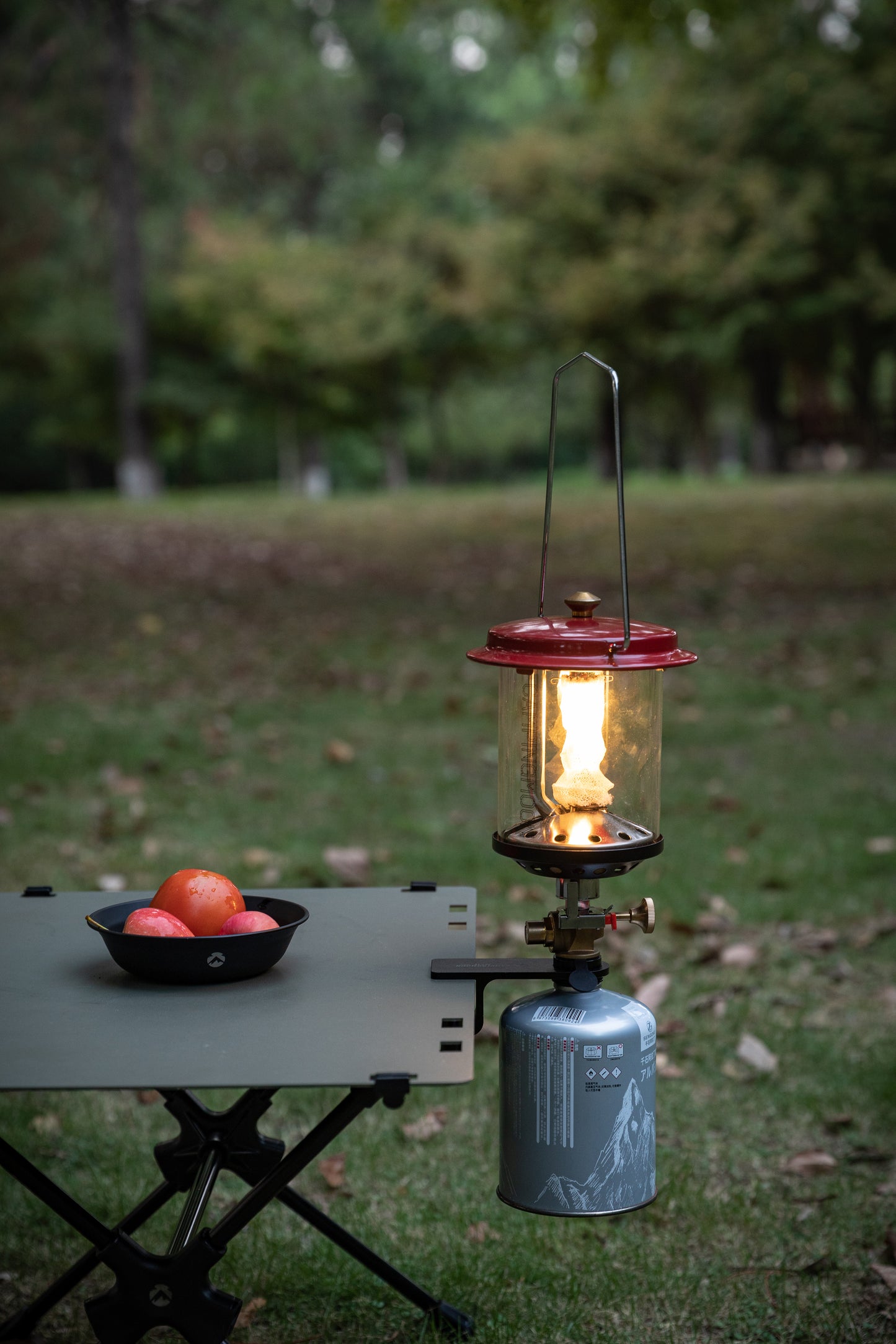 Nomadia Wild Camping Portable Lightweight Glamping Atmosphere Gas Lamp with flame gas canister - camping table - camping setup