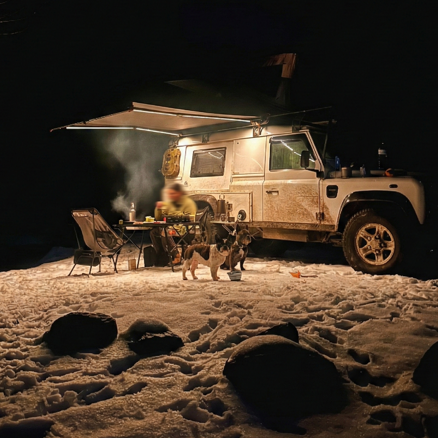 Camper van parked on a sandy beach at night with people and dogs around.